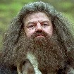 Hagrid