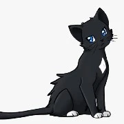 Cat form Mowe