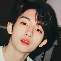 nielluwys