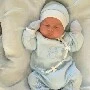 sebastian bb
