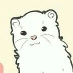 Sakuya ( your pets )