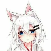 Your fox form