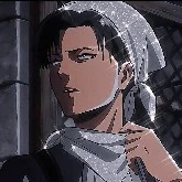 levi
