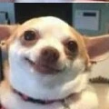 ?????