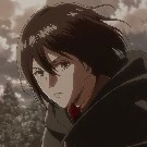 mikasa
