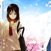 MIKASA