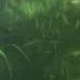 Unknown Person 2
