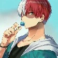 Shoto Todoroki