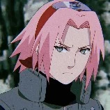 Sakura(Testuda)