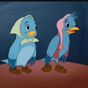 birds