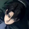 levi
