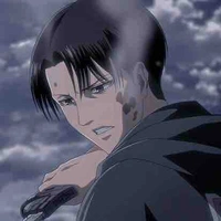Levi