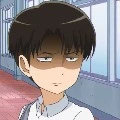 levi