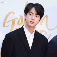 Kim seokjin/jin