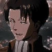 Levi