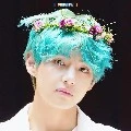 kim taehyung (tae/v)