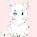 kucing