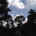 semua nya yang liat