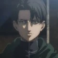 Levi (kakak Mikasa)