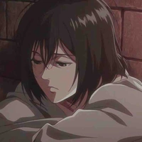Mikasa