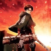 Levi