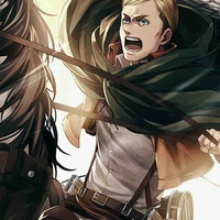 Erwin💚👤