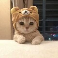 กิมจิ
