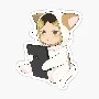 baby kenma