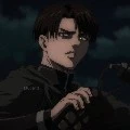 levi