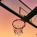 tim basket 2
