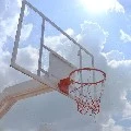 tim basket