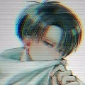 Levi