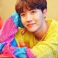 hobi