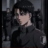 Levi