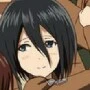 MIKASA