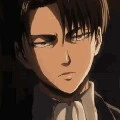 levi