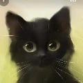 Noah cat form(momo)