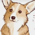 liam dog form( boho)