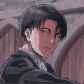 Levi