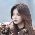 Wang Yiren