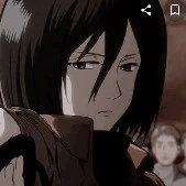Mikasa