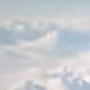 ?????