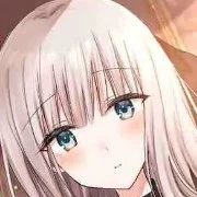 Y/N