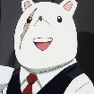 nezu