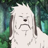 akamaru