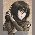 mikasa