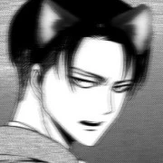 Levi
