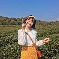 นีน่า