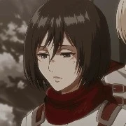 Mikasa Arkmen