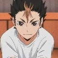Noya